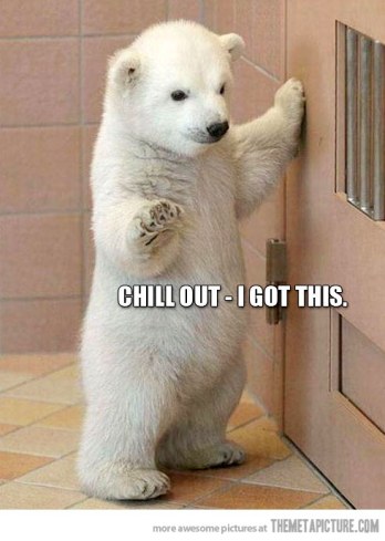 funny-polar-bear-Chill-Out